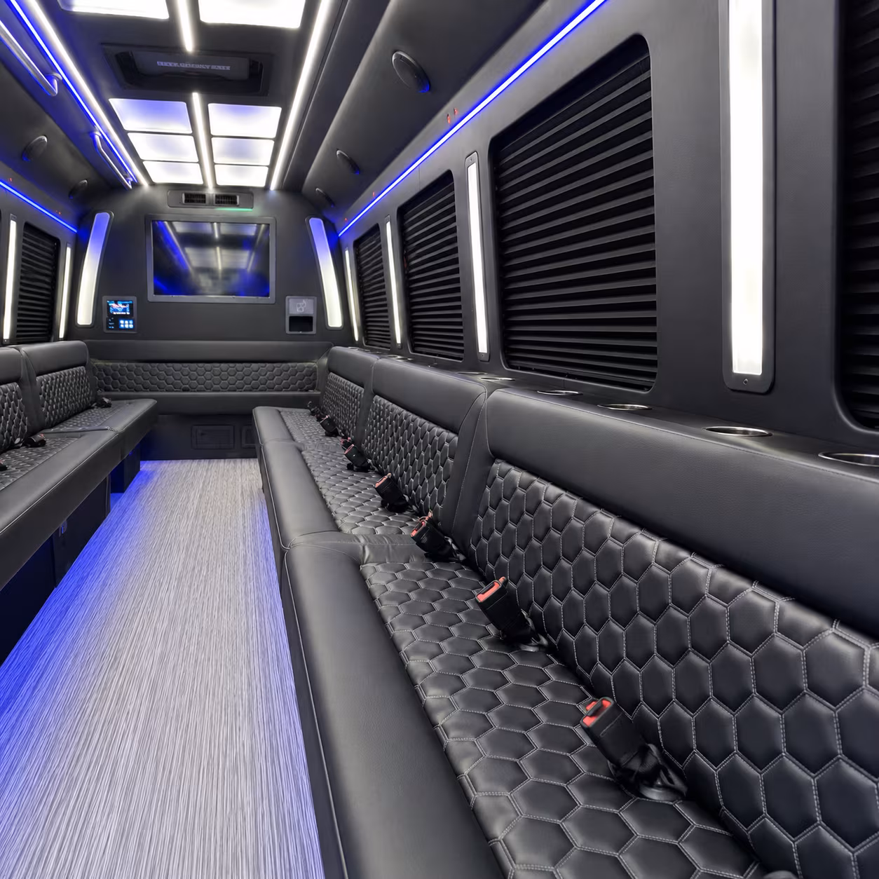 birthday party bus rental