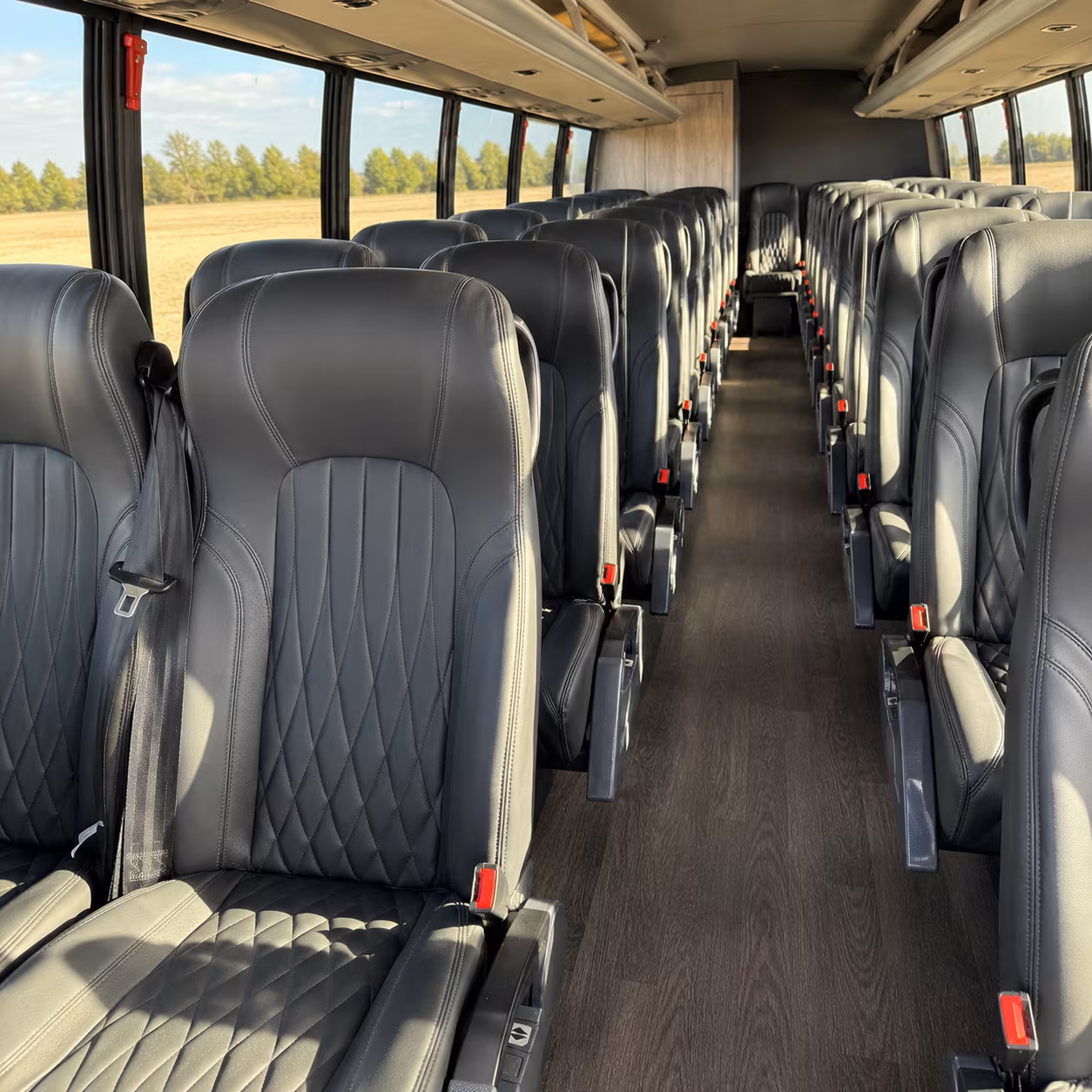 minibus rentals for parma bridal party transportation